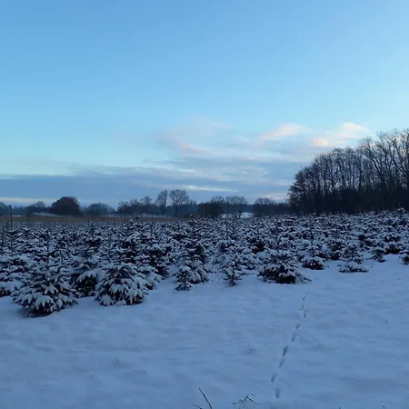 Haus-auetal Casa vacanze