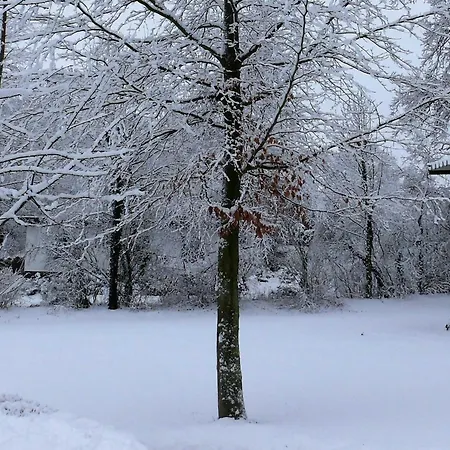 度假居 Haus-auetal