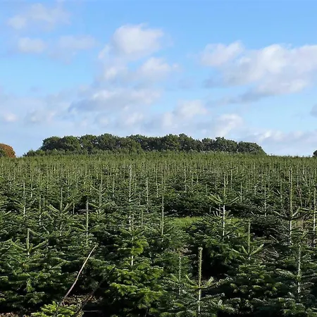 Casa vacanze Haus-auetal *