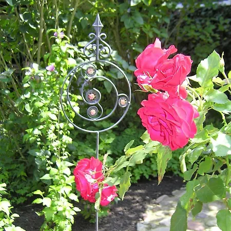 Haus-auetal * Bliedersdorf