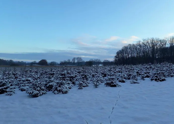 Haus-auetal Дом отдыха