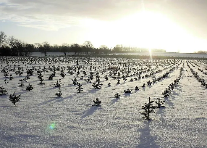 Haus-auetal 度假居