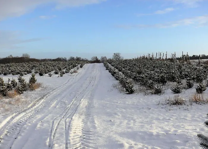 Haus-auetal Дом отдыха