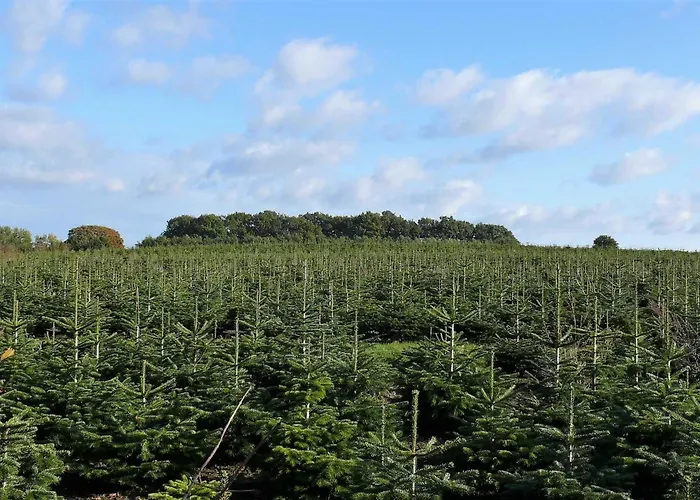 Дом отдыха Haus-auetal *